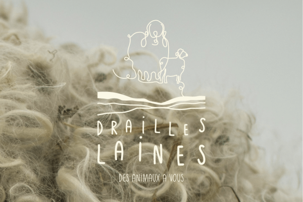 Drailles laines