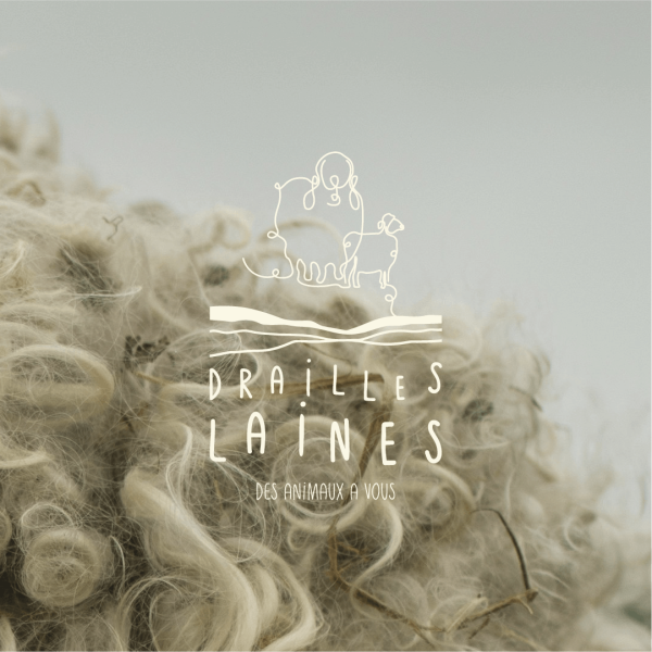 Drailles laines