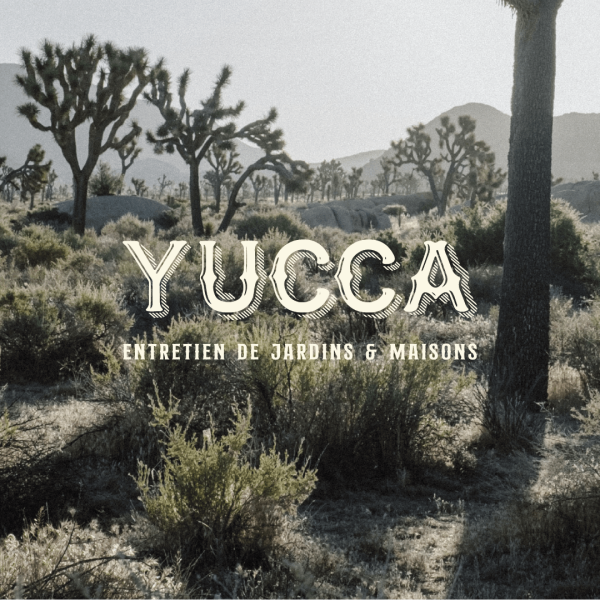 YUCCA