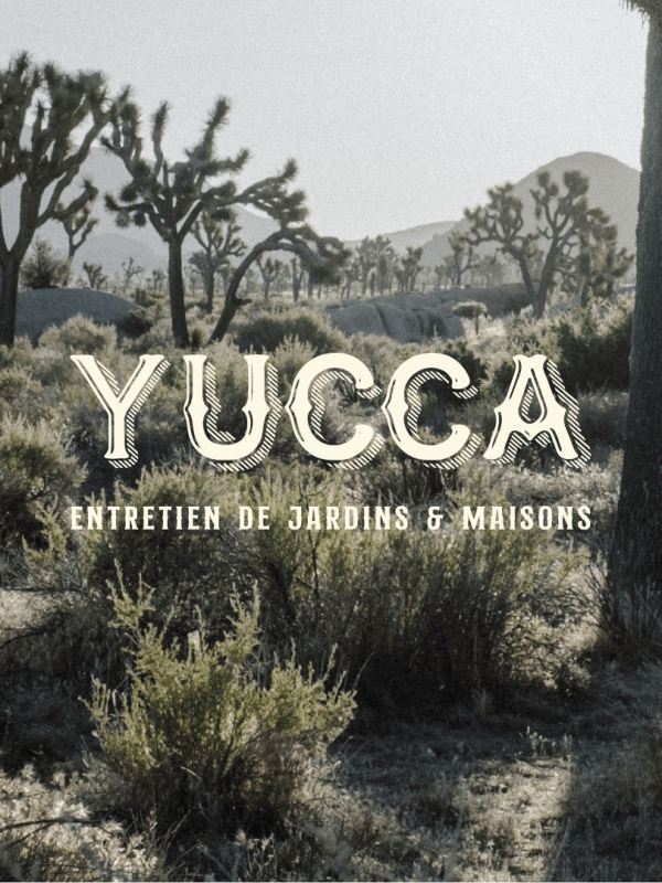 YUCCA